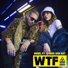 Wtf - Hugel feat. Amber Van Day