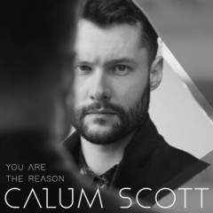 You Are The Reason - Calum Scott feat. Leona Lewis