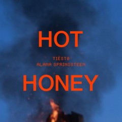 Hot Honey - Tiesto & Alana Springsteen